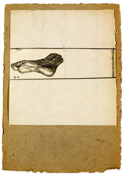 Black ink engraving of a human foot, seen from below, on white paper mounted on paper board
