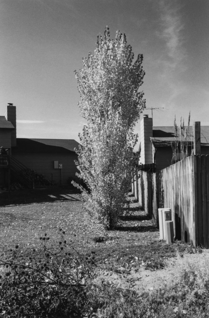 Artwork image, Robert Adams's Arvada, Colorado, from the series Gone? Colorado in the 1980s