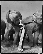 【Richard Avedon: Photographs 1946-2004】 Richard Avedon: Photographs 1946-2004 | リチャード