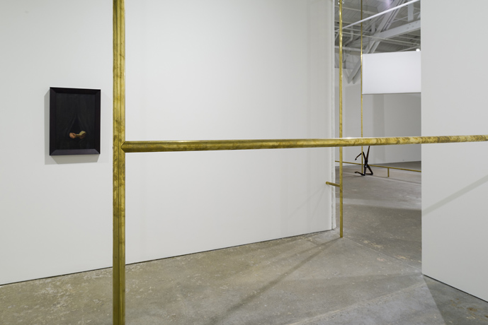 Markus Schinwald, installation view