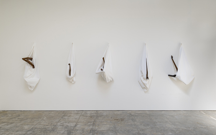 Markus Schinwald, installation view