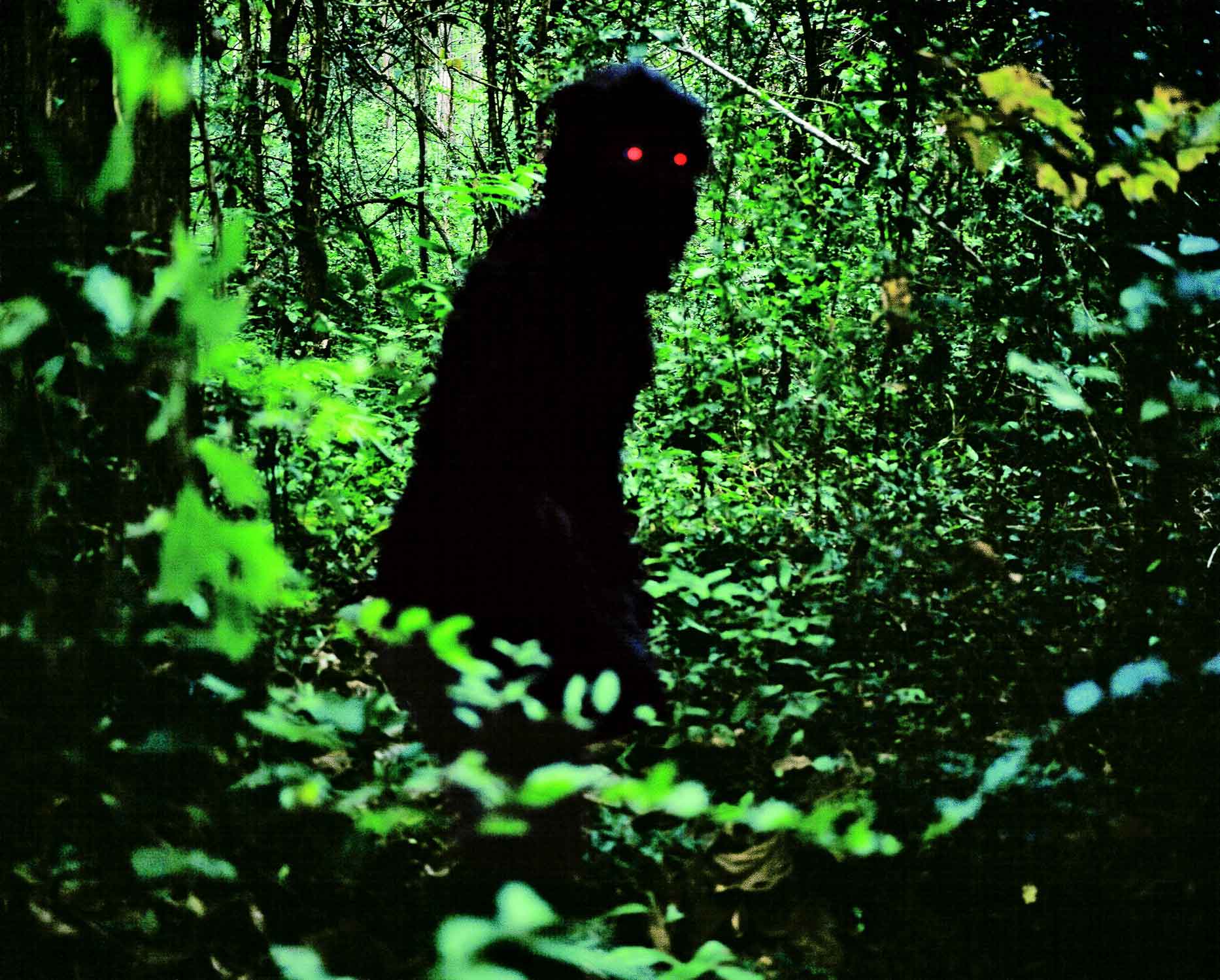 Uncle Boonmee Who Can Recall His Past Lives · SFMOMA