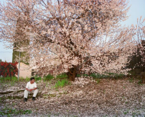 Larry Sultan, Antioch Creek, 2008. Courtesy The Estate of Larry Sultan and Casemore Kirkeby.