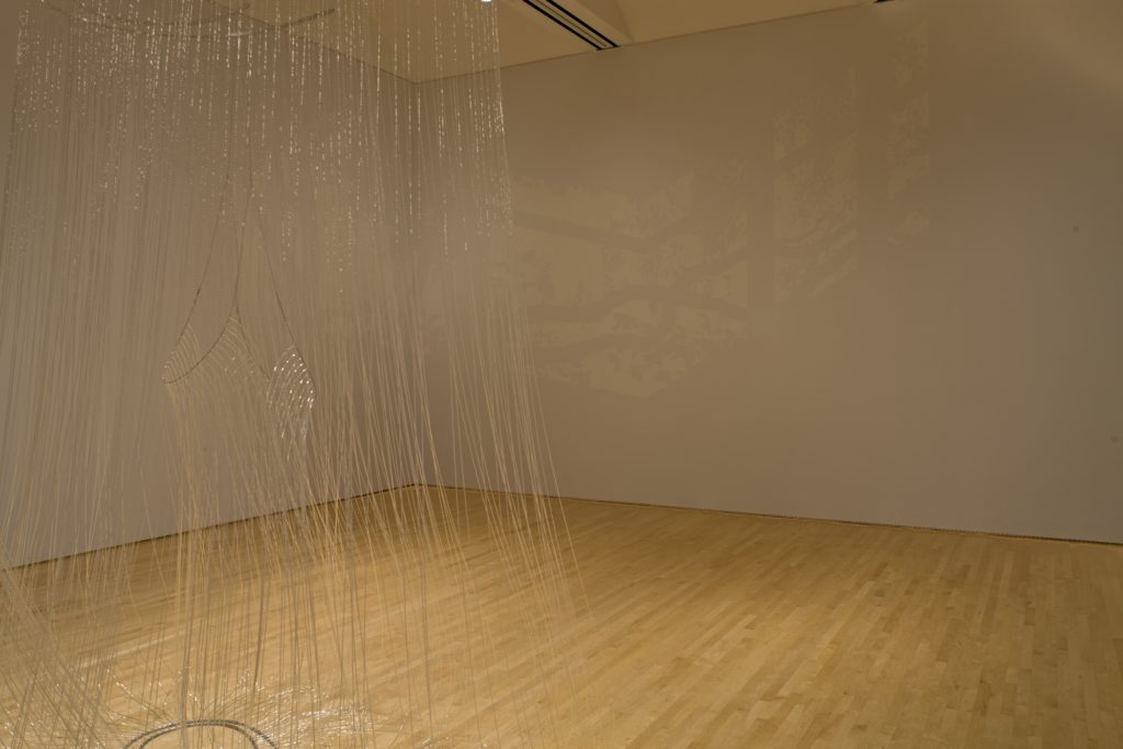 A hanging metallic sculpture in the foreground and a leafy projection in the background 