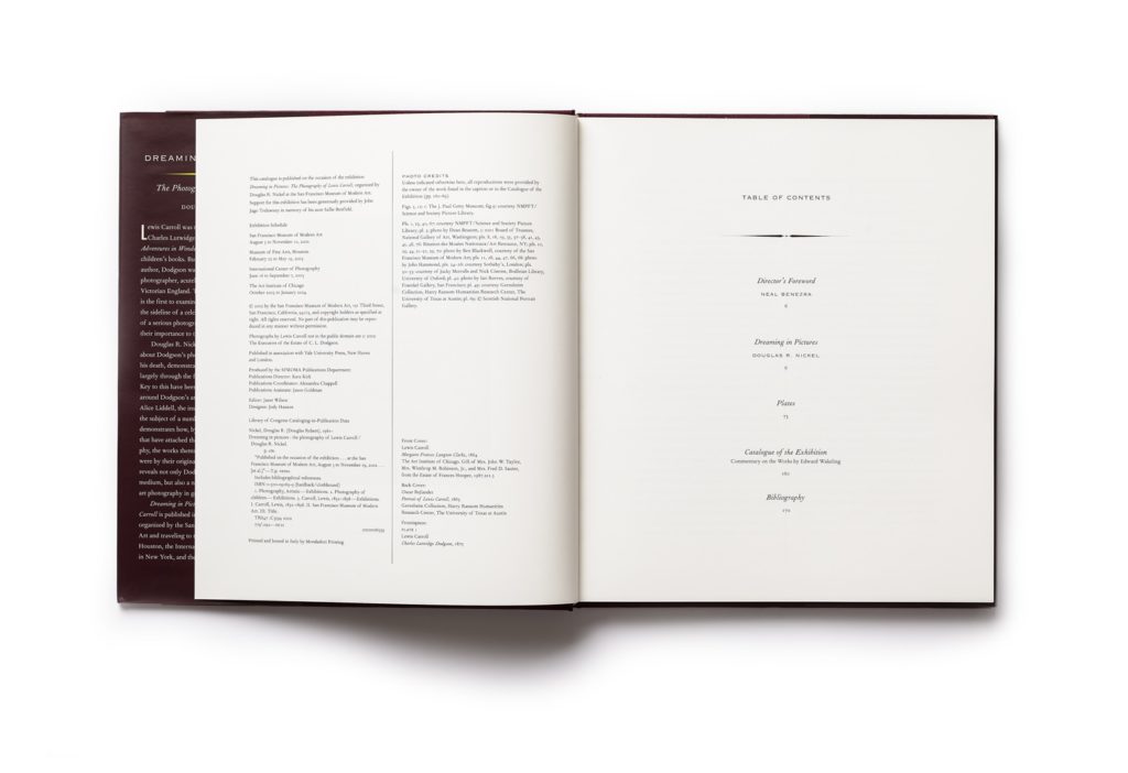 Dreaming in Pictures publication table of contents