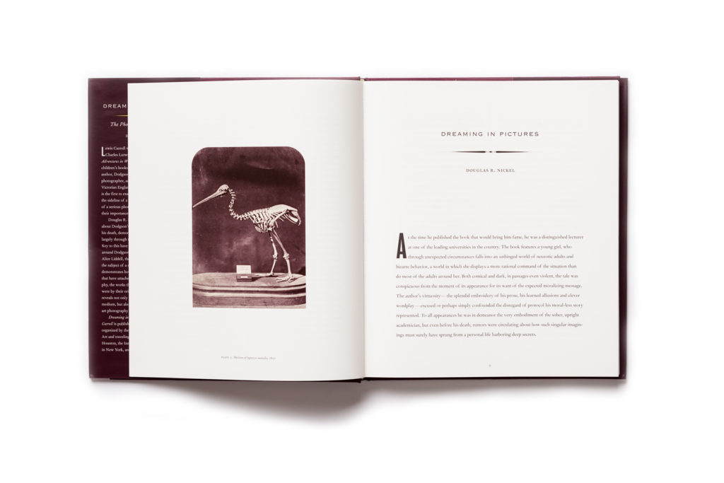 Dreaming in Pictures publication pages 8-9