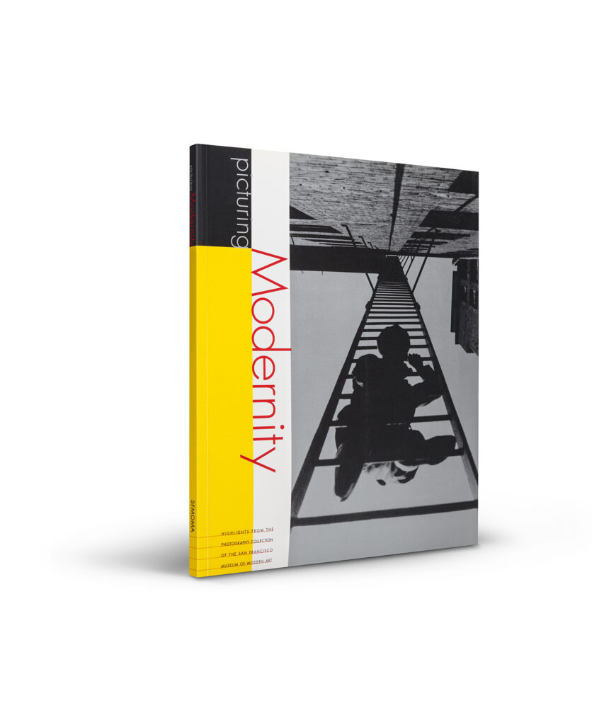 Picturing Modernity cover