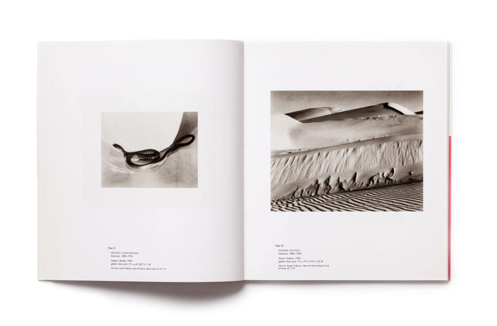 Picturing Modernity, pp. 21-22