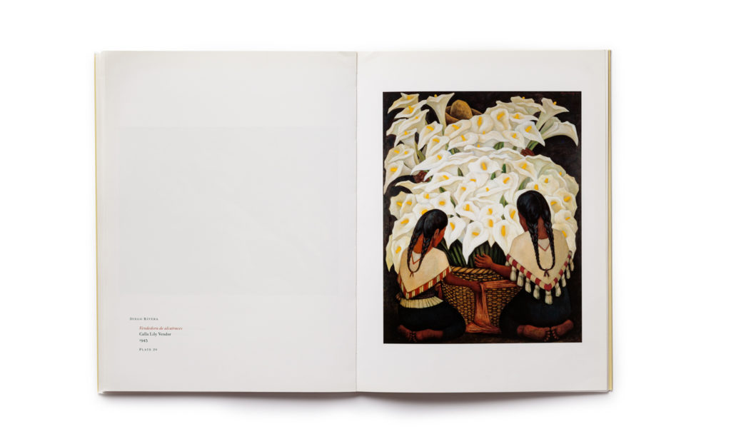 Frida Kahlo, Diego Rivera and Mexican Modernism, plate 20