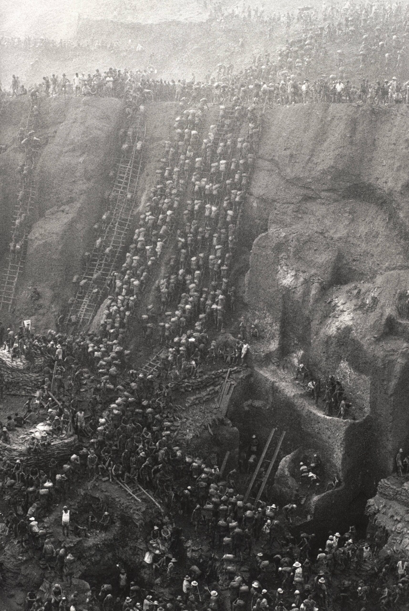 写真集 Sebastiao Salgado 『Terra』 From barren land to thriving forest: The story of