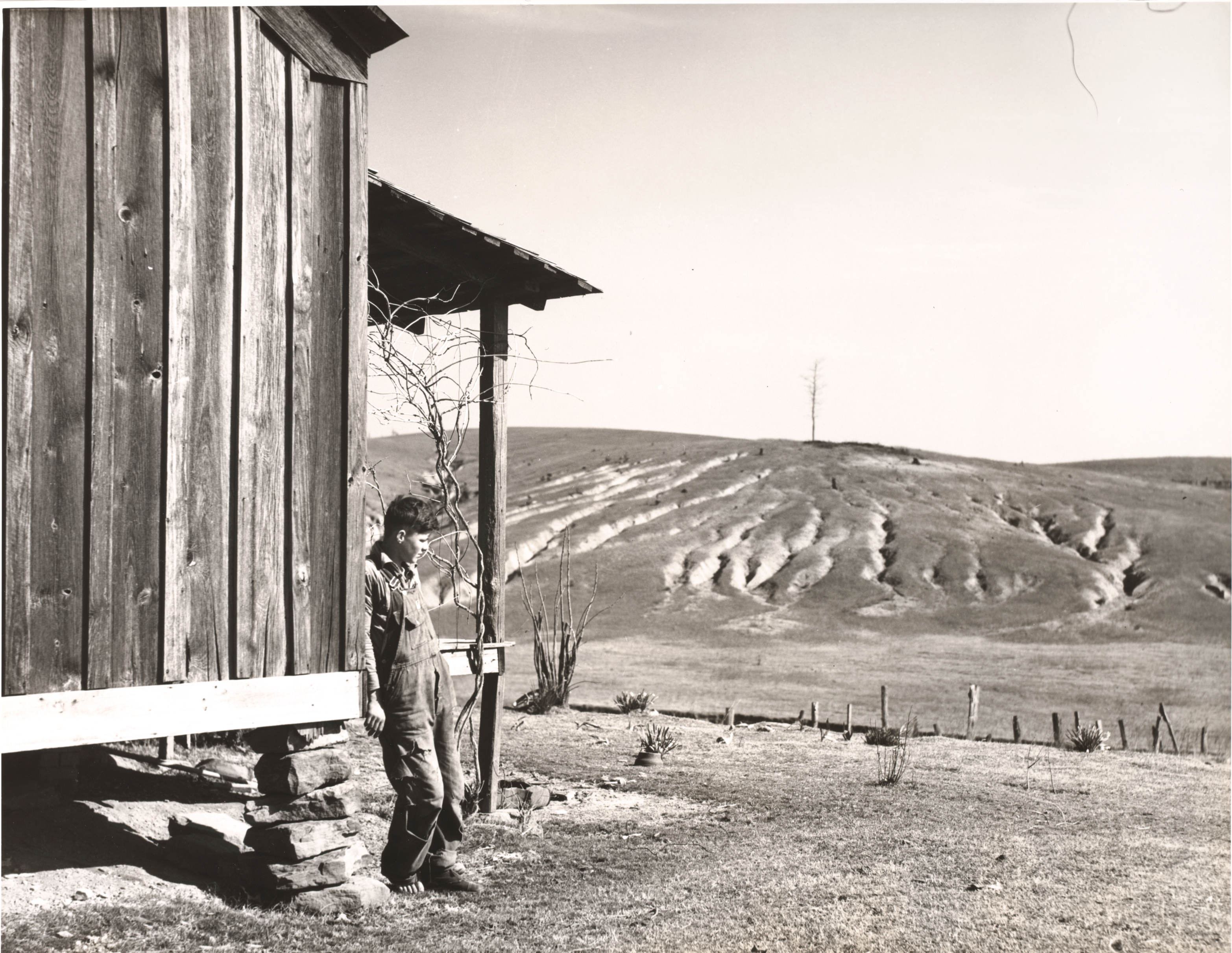 Arthur Rothstein, Soil Erosion, Alabama, 1937 · SFMOMA