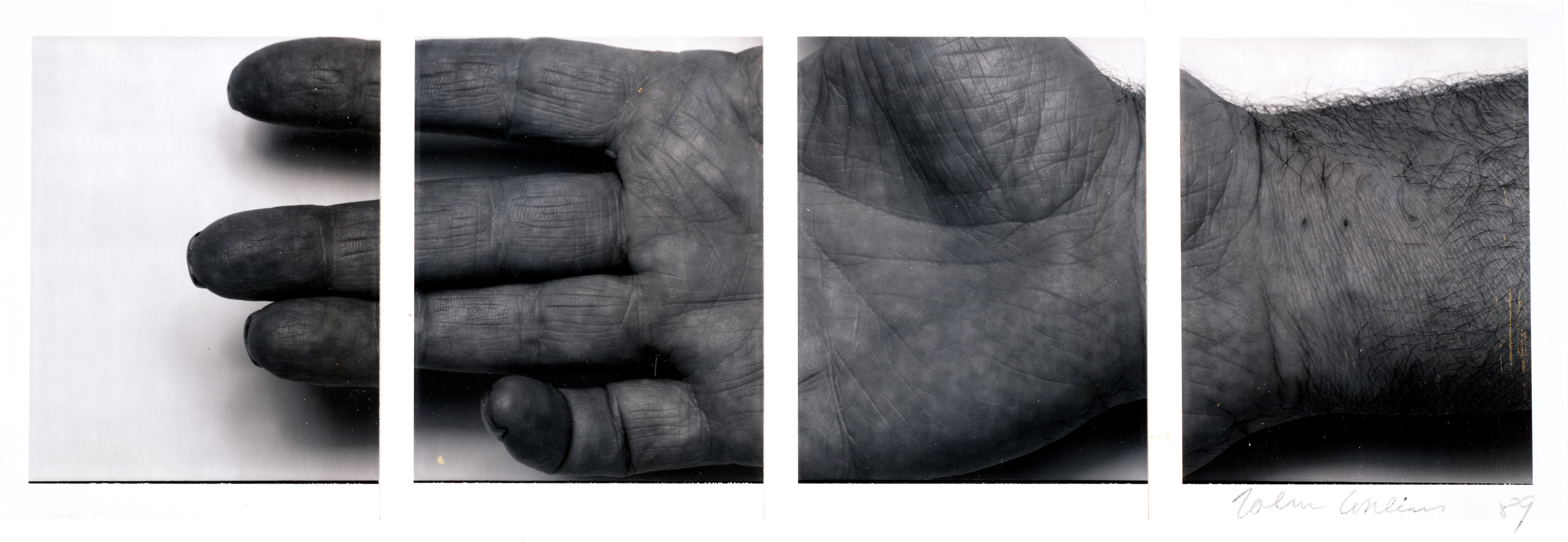 John Coplans, Self-Portrait: Hand Horizontal, 1988 · SFMOMA