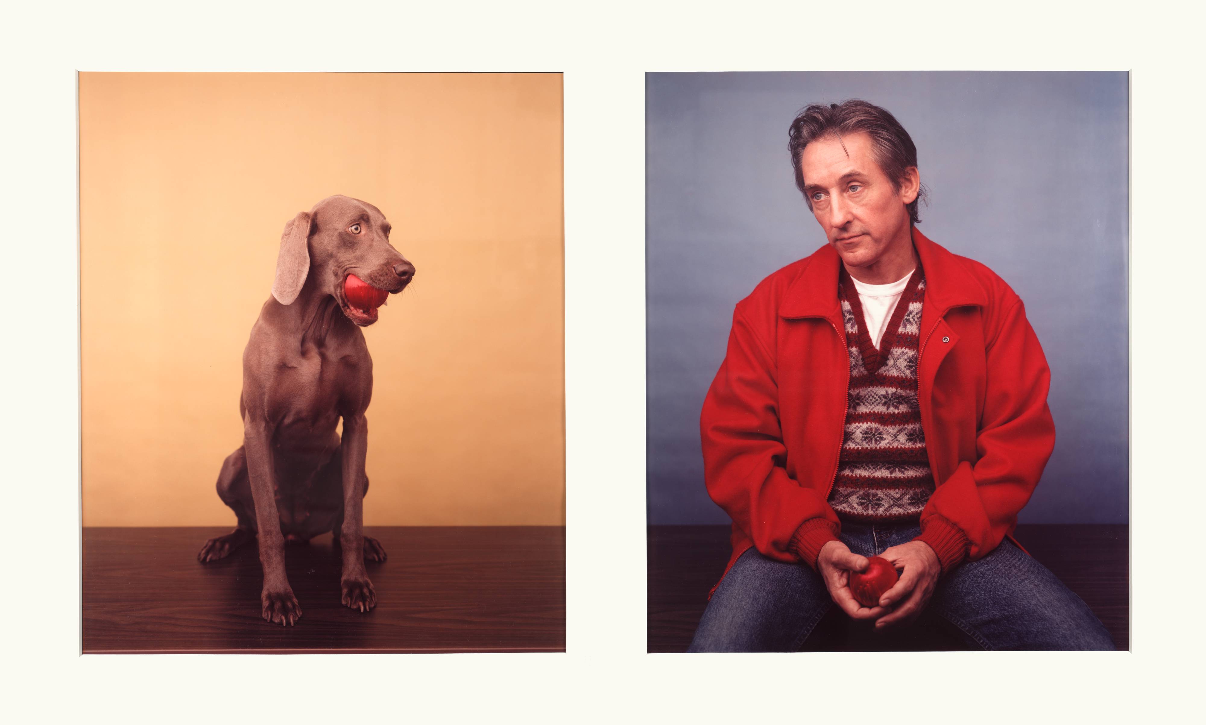 William Wegman, Holding It, 1987 · SFMOMA