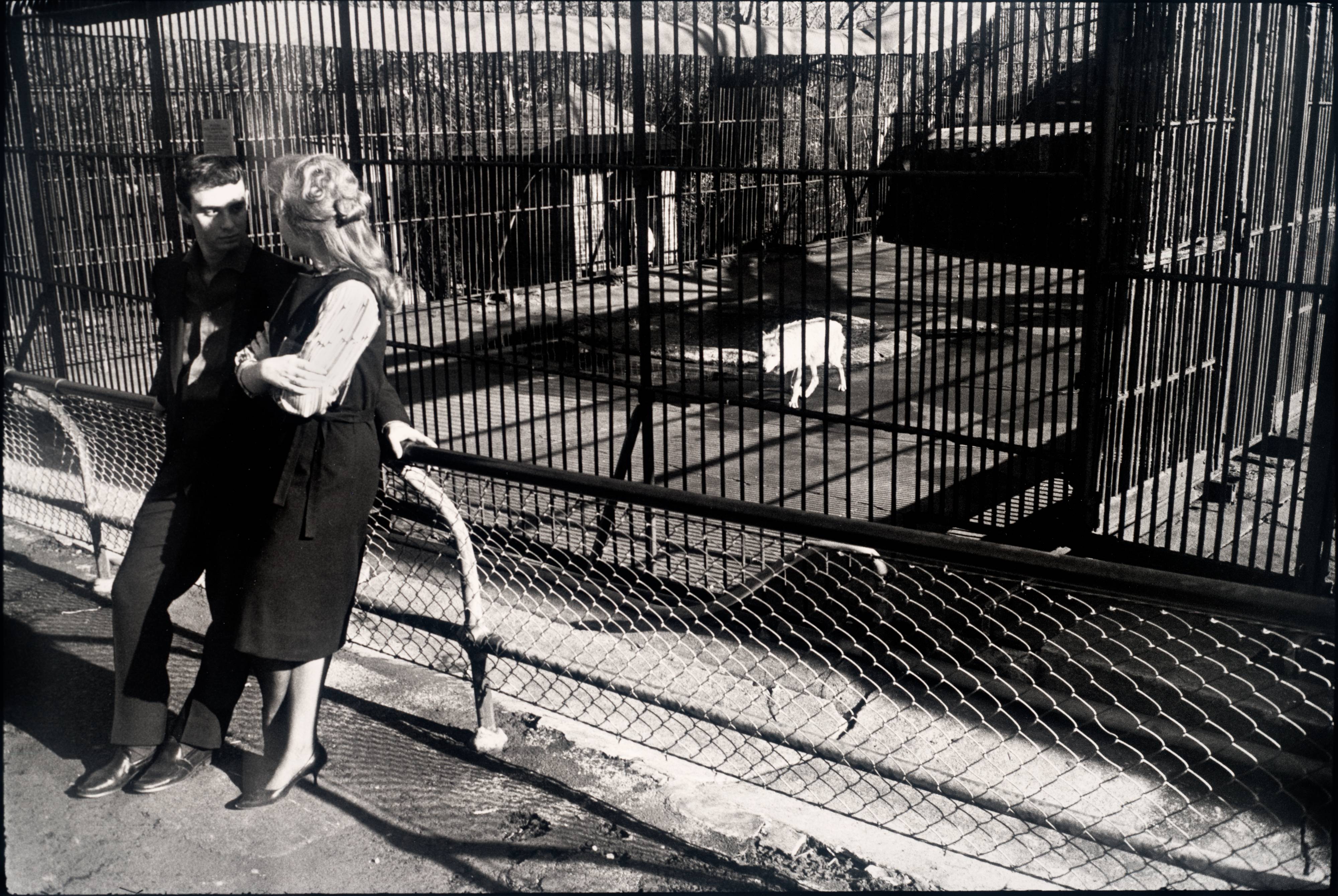 Garry Winogrand, Central Park Zoo, New York City, ca. 1962 · SFMOMA