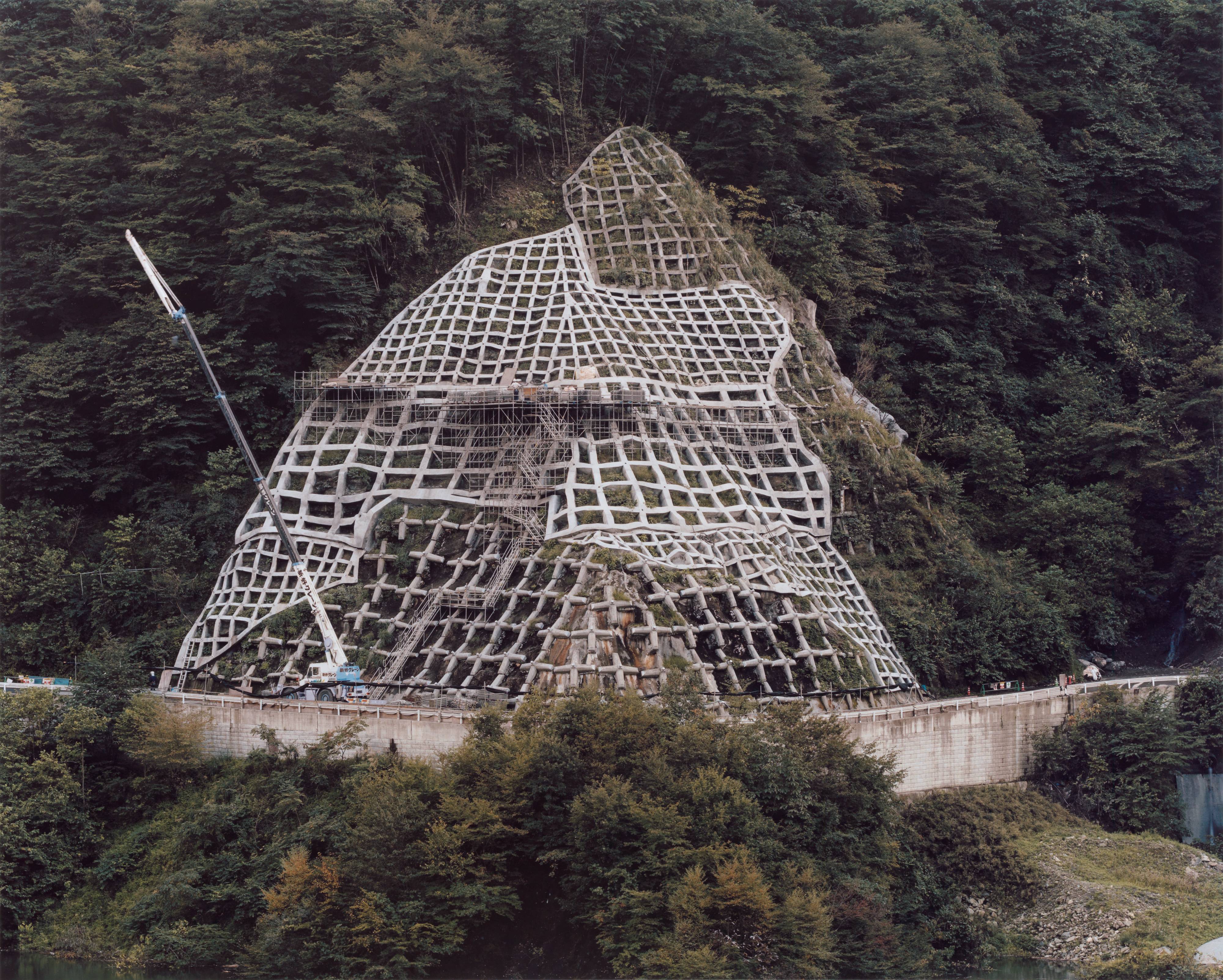 柴田敏夫Toshio Shibata：Beyond the Familiar Toshio Shibata：Beyond the Familiar / アルカディア書房