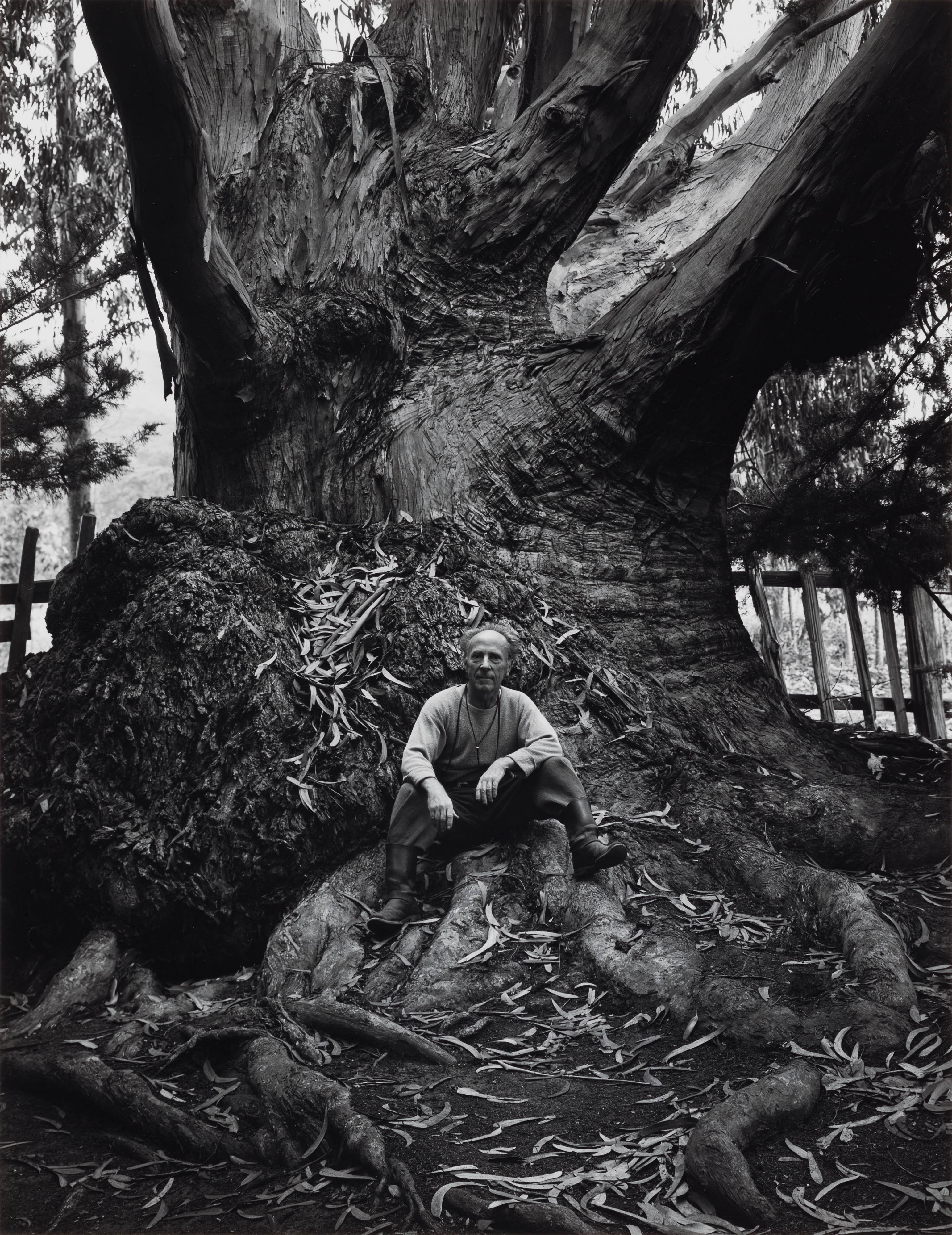 Ansel Adams, Edward Weston, Carmel Highlands, California