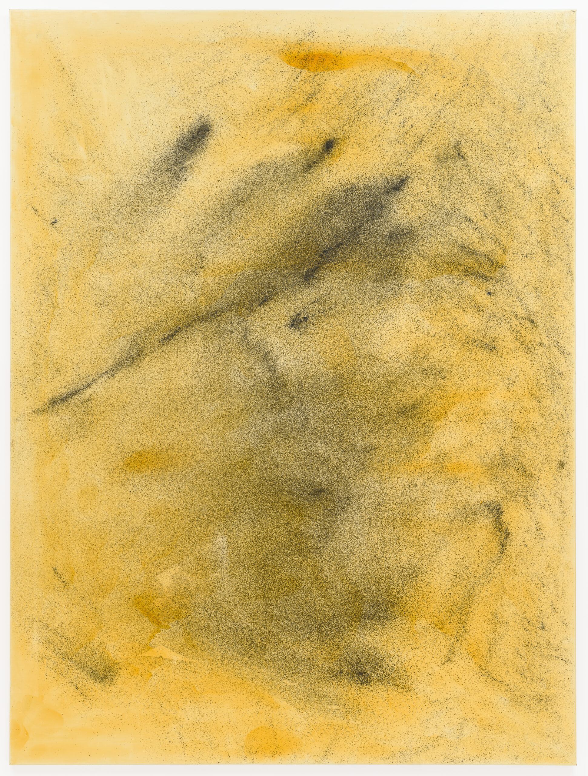 【洋書】Sigmar Polke Sigmar Polke at MoMA in New York