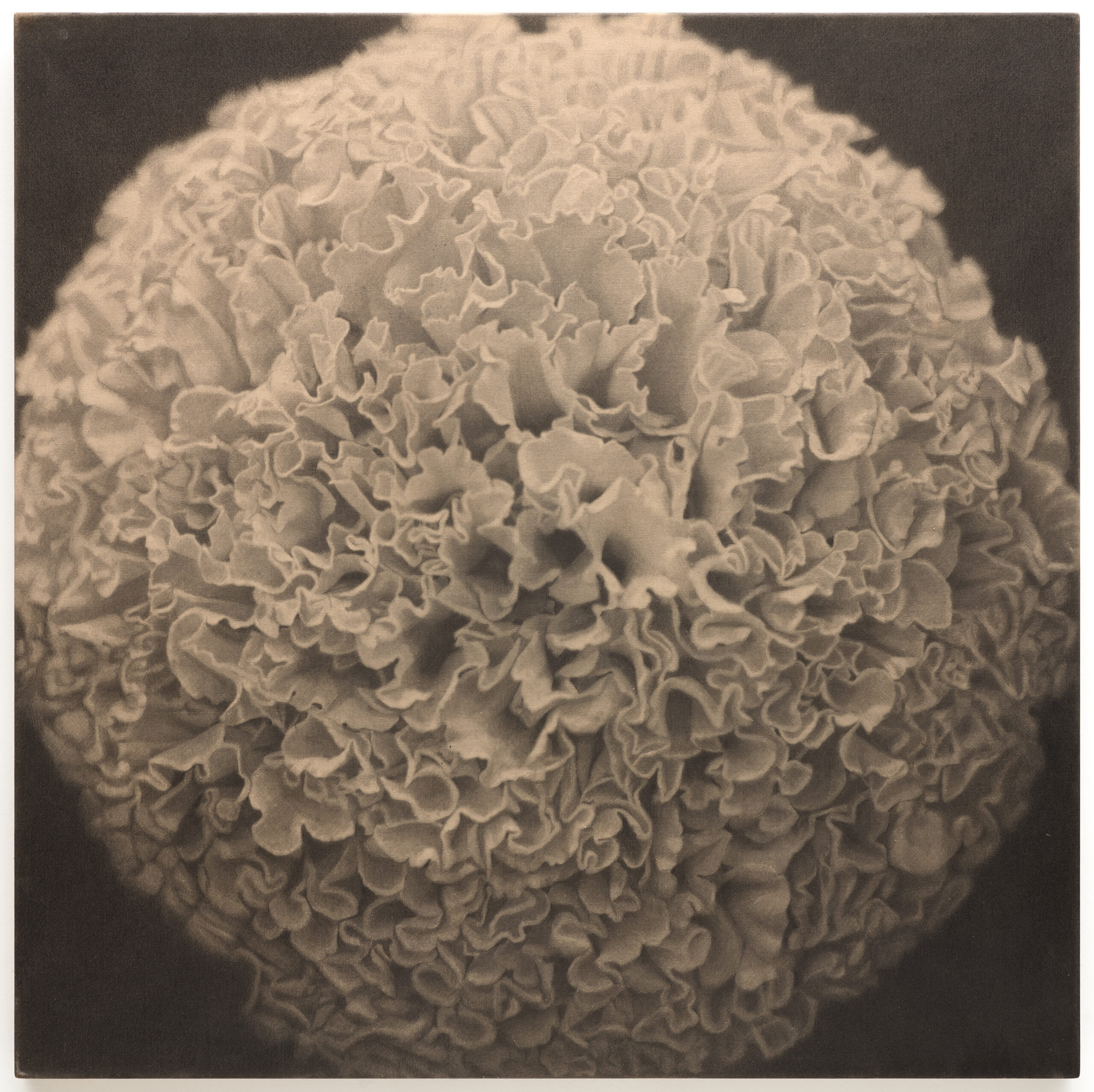 Kunié Sugiura's Photopainting · SFMOMA