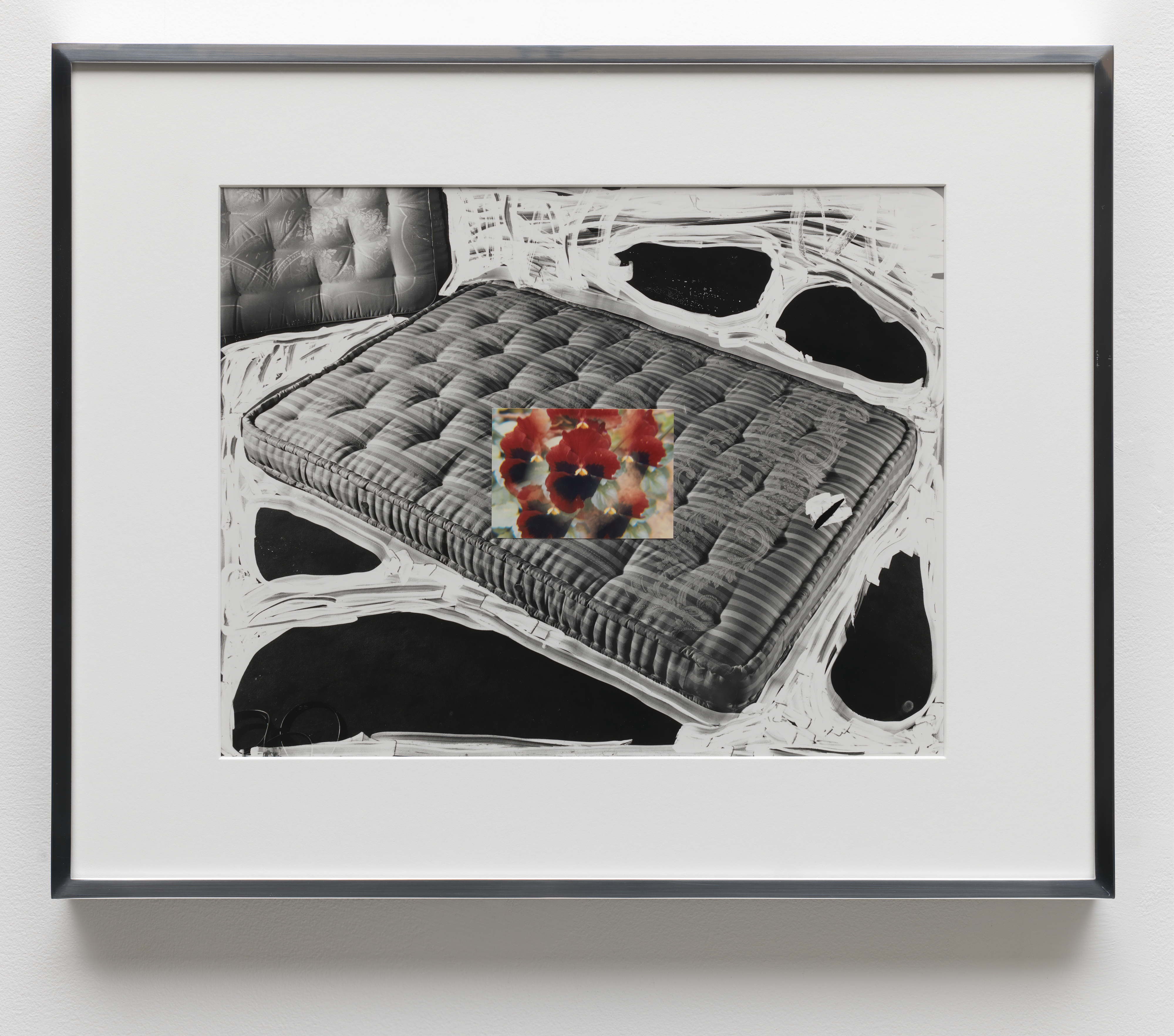 Elad Lassry, Untitled (Mattress, Pansy), 2019 · SFMOMA, image size:3999x3530