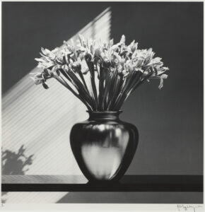 Robert Mapplethorpe · SFMOMA
