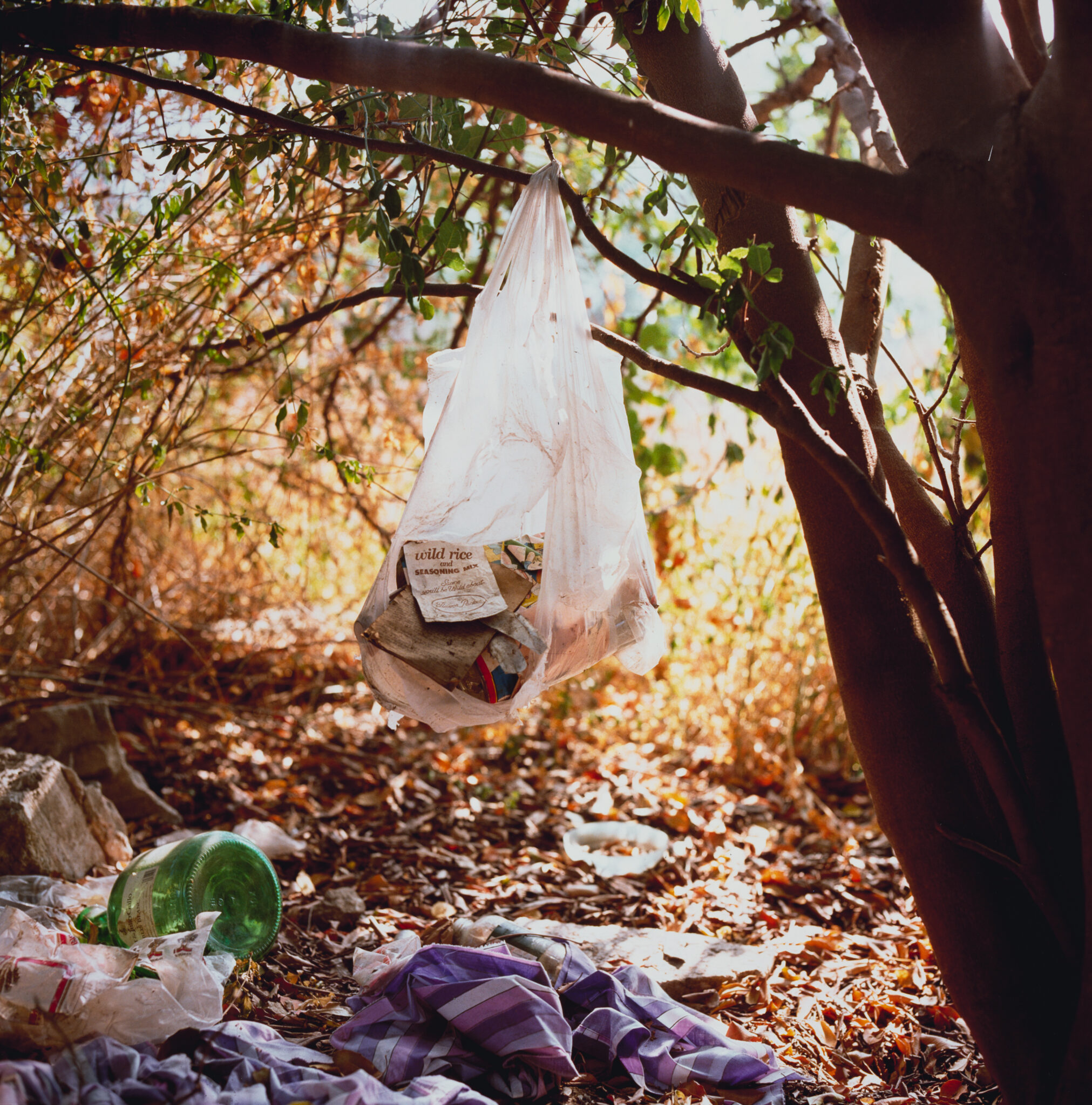 Anthony Hernandez, Landscapes for the Homeless #1, 1988 · SFMOMA