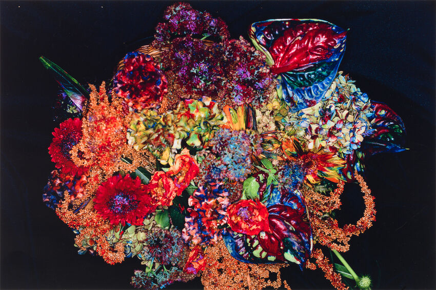 Nobuyoshi Araki, Painting Flower, 2004 · SFMOMA
